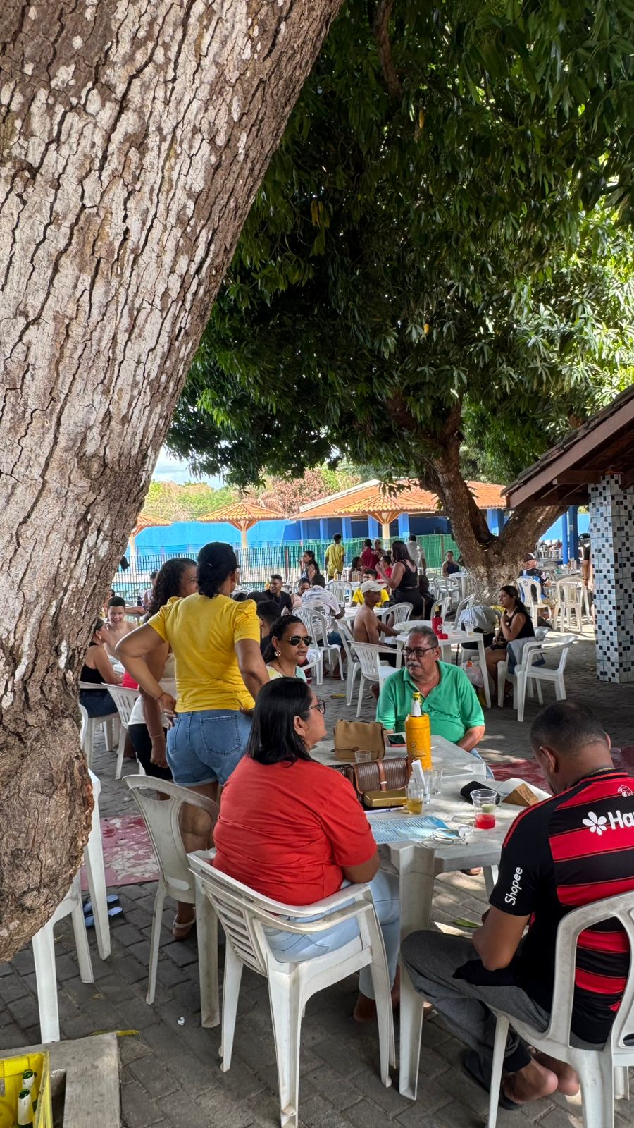 FESTA DE CONFRATERNIZAÇÃO DA ASALPI SINDICATO